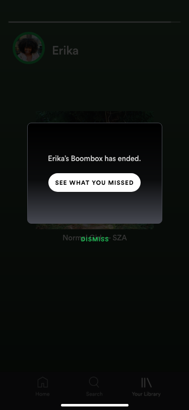 Boomboxes are visible for 24 hours, so even though Erika has stopped listening to music, her rotation is still available for her followers to see