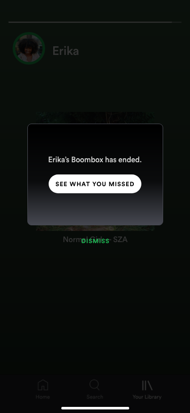 Boomboxes are visible for 24 hours, so even though Erika has stopped listening to music, her rotation is still availble for her followers to see